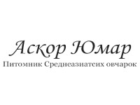 ������� �������� ��������������� ������� "����� ����"