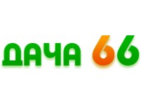  66