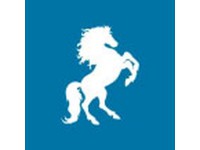 ������� ����������161 � ���������� ������. ��������� ������������. ��������