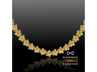  Diamonds-are-forever, 