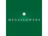 ������� "Megaflowers" �� ����� �����������