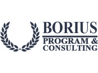 ������� Borius Program & Consulting